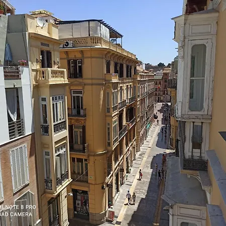 Constitución